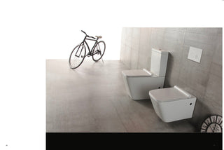 Aiden Rimless Nano-Glaze Toilet Suite