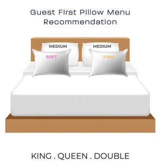 Holiday Inn Luxury Feather & Down Pillow