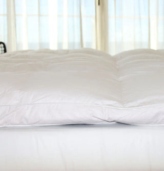 Holiday Inn Feather & Down Mattress Topper