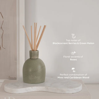 blackcurrant & caribbean wood diffuser