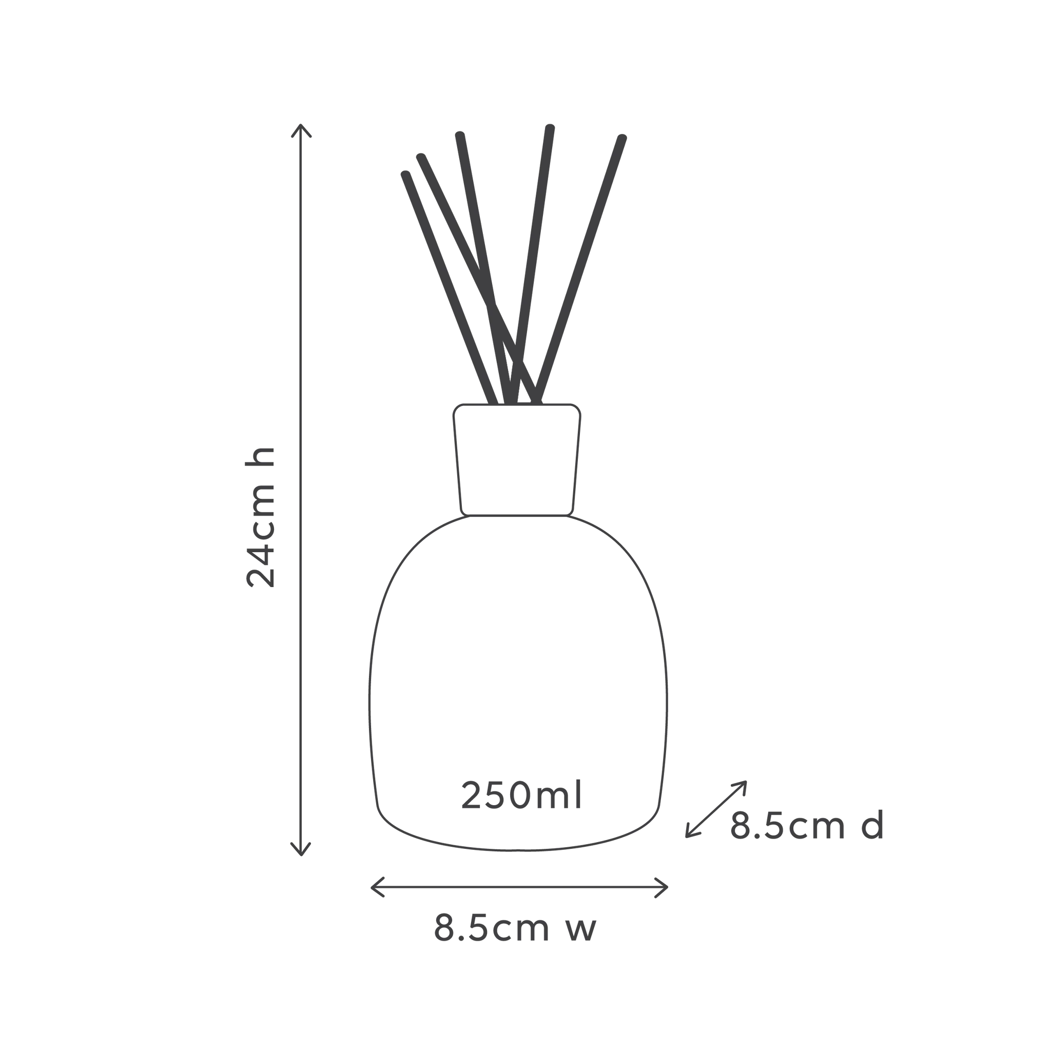 blackcurrant & caribbean wood diffuser